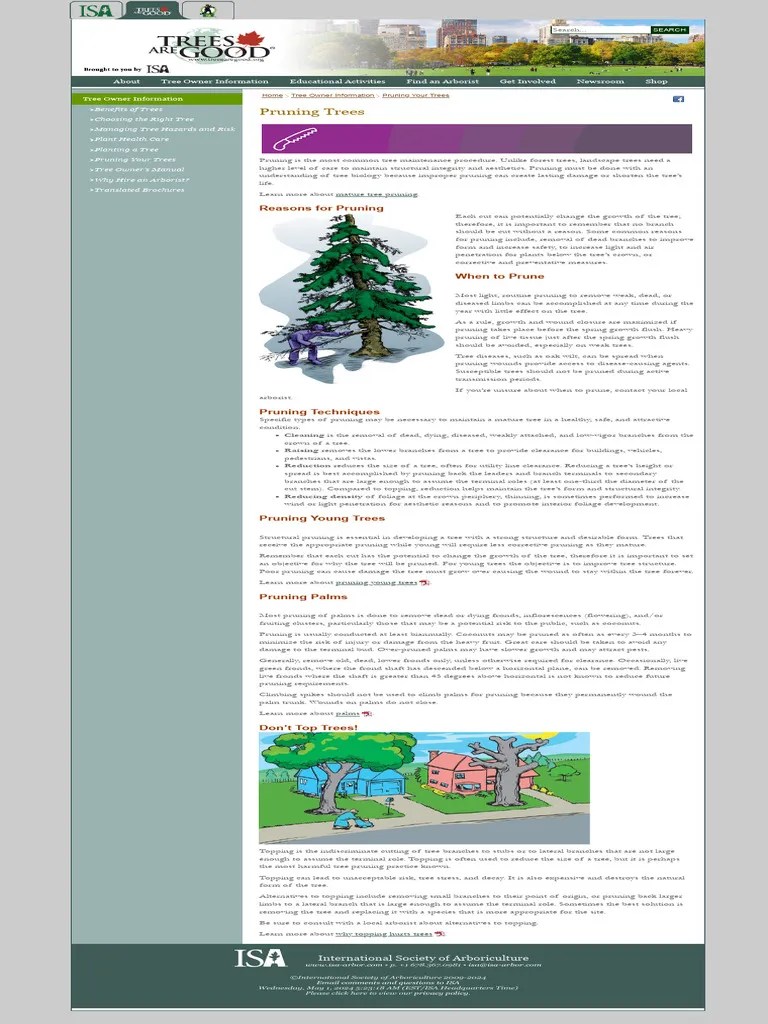 Pruning Trees | PDF | Pruning | Trees