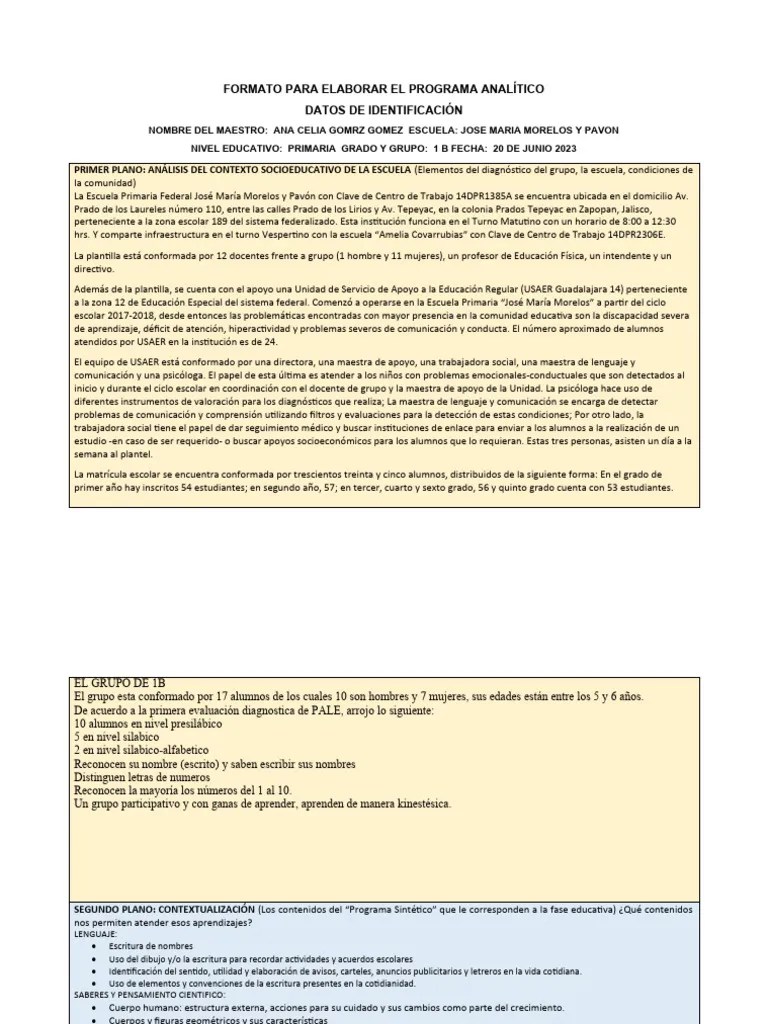FORMATO PARA ELABORAR EL PROGRAMA ANALÍTICO 1°b | PDF | Alimentos ...