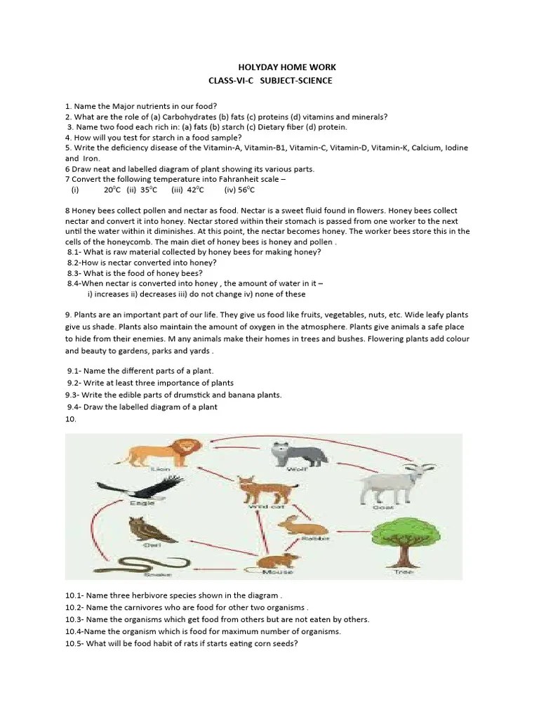 Holiday Homework Class VI SCIENCE | Download Free PDF | Foods | Honey