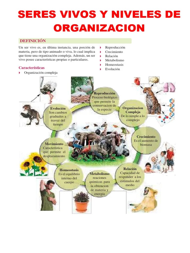 Seres Vivos Y Niveles De Organizacion | PDF | Reproducción | Organismos