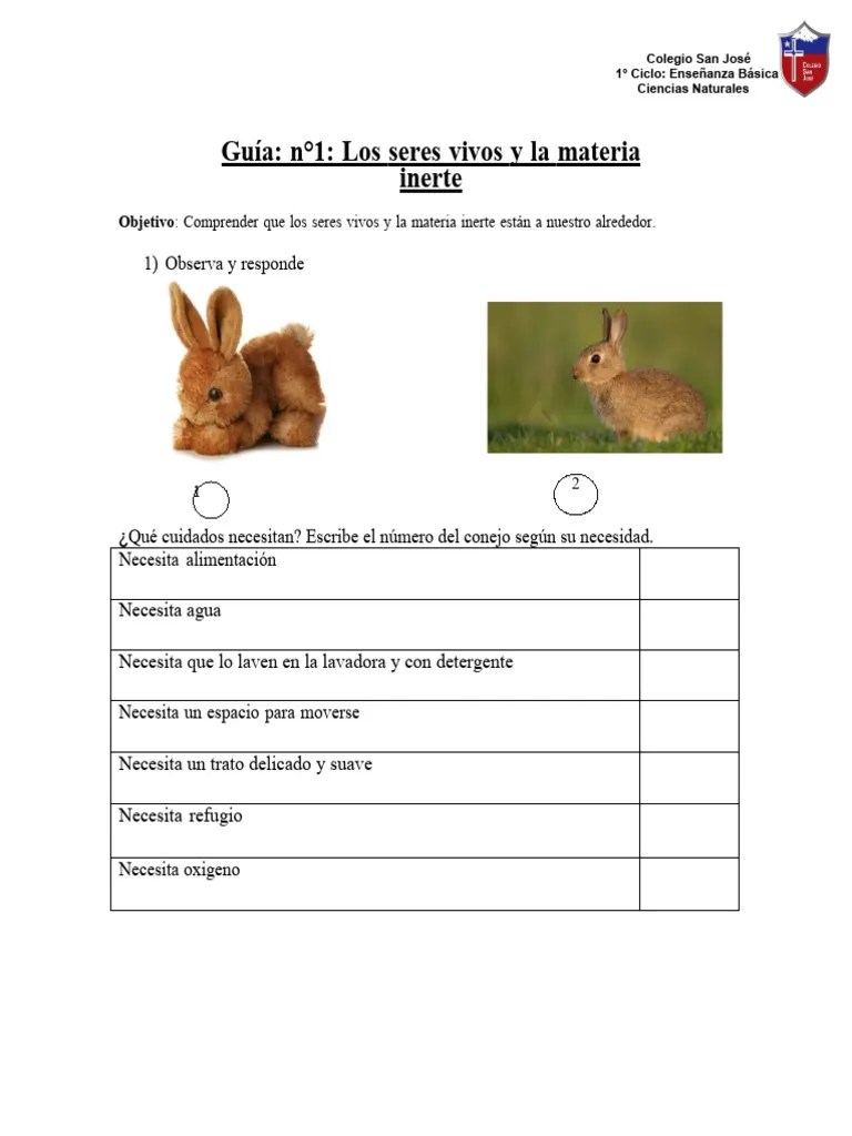 Guia Seres Vivos E Inerte 1ro AB OK | PDF