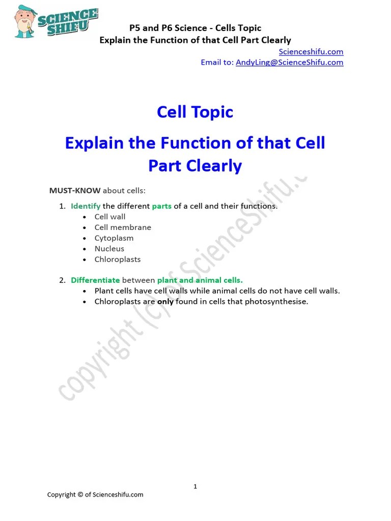 Science Revision Notes - Cells Topic - Explain The Function Of The Cell ...