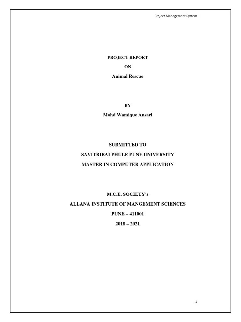 Sample Project Report | PDF | Graphical User Interfaces | My Sql