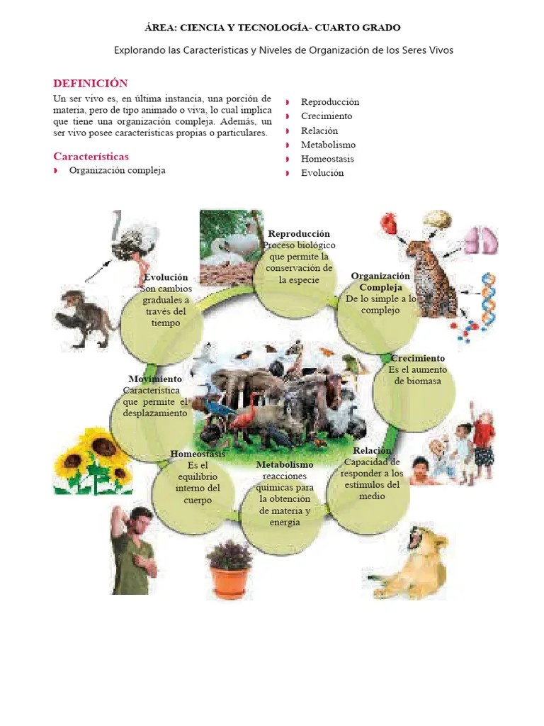 Los Seres Vivos Organización | PDF | Organismos | Reproducción