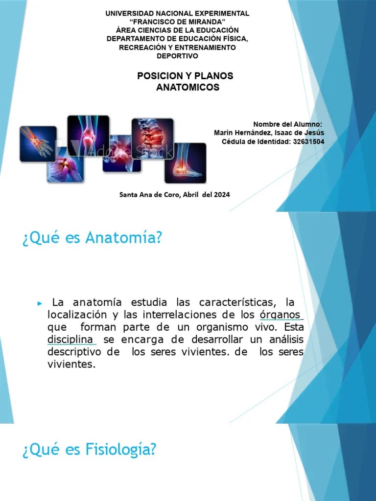 Posicion Y Planos Anatomicos | PDF | Términos Anatómicos De Ubicación | Contracción Muscular