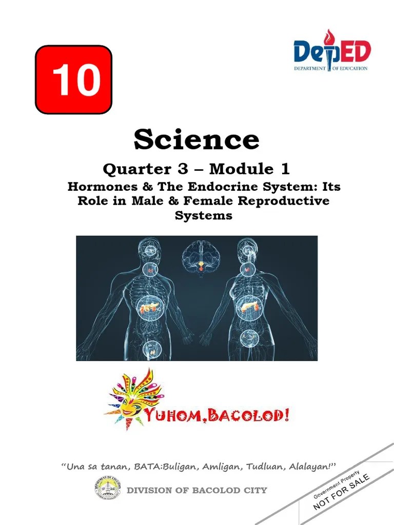 Endocrine-System- | PDF | Endocrine System | Human Body