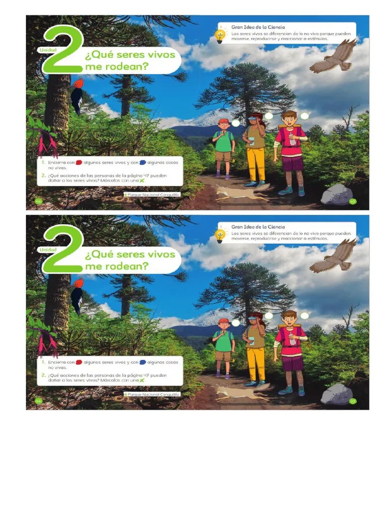 CLASIFICACIÓN DE SERES VIVOS | PDF