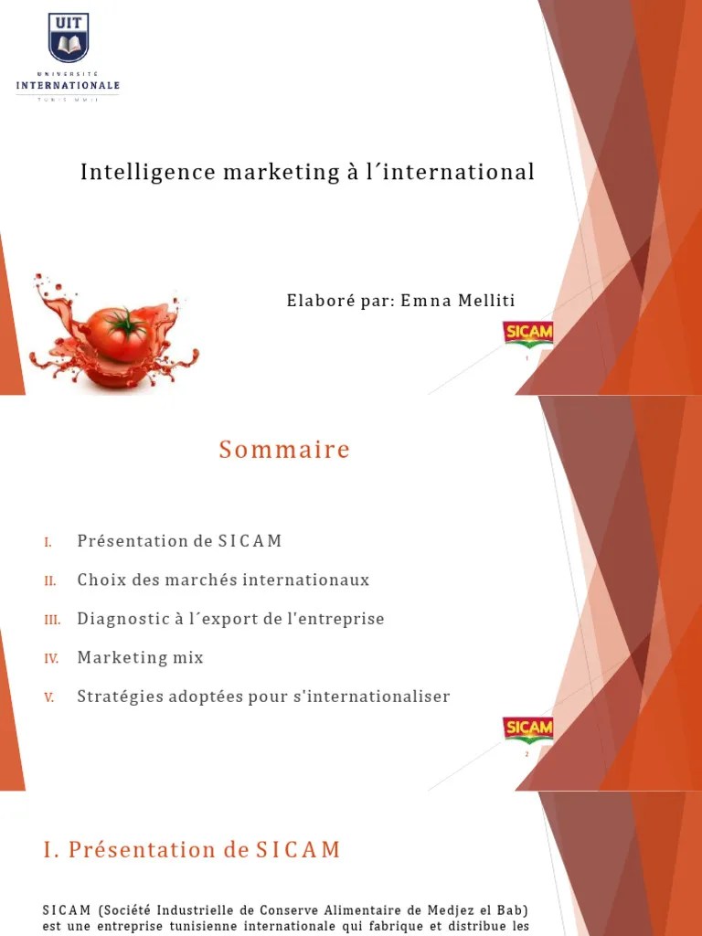 Intelligence MKG | PDF | Commercialisation | Processus D'affaires