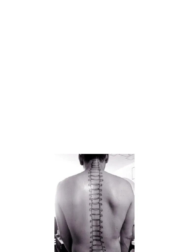 Applied Anatomy Of The Vertebral Column | PDF | Vertebral Column | Vertebra