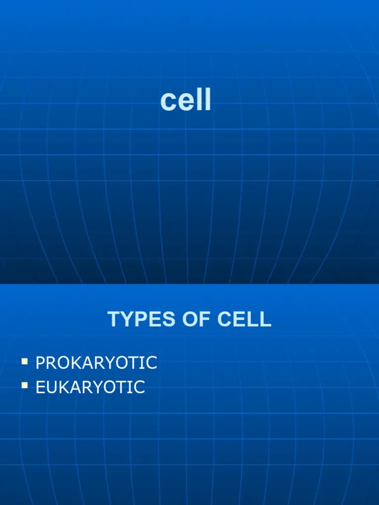 Cell | PDF | Mitosis | Cell (Biology)