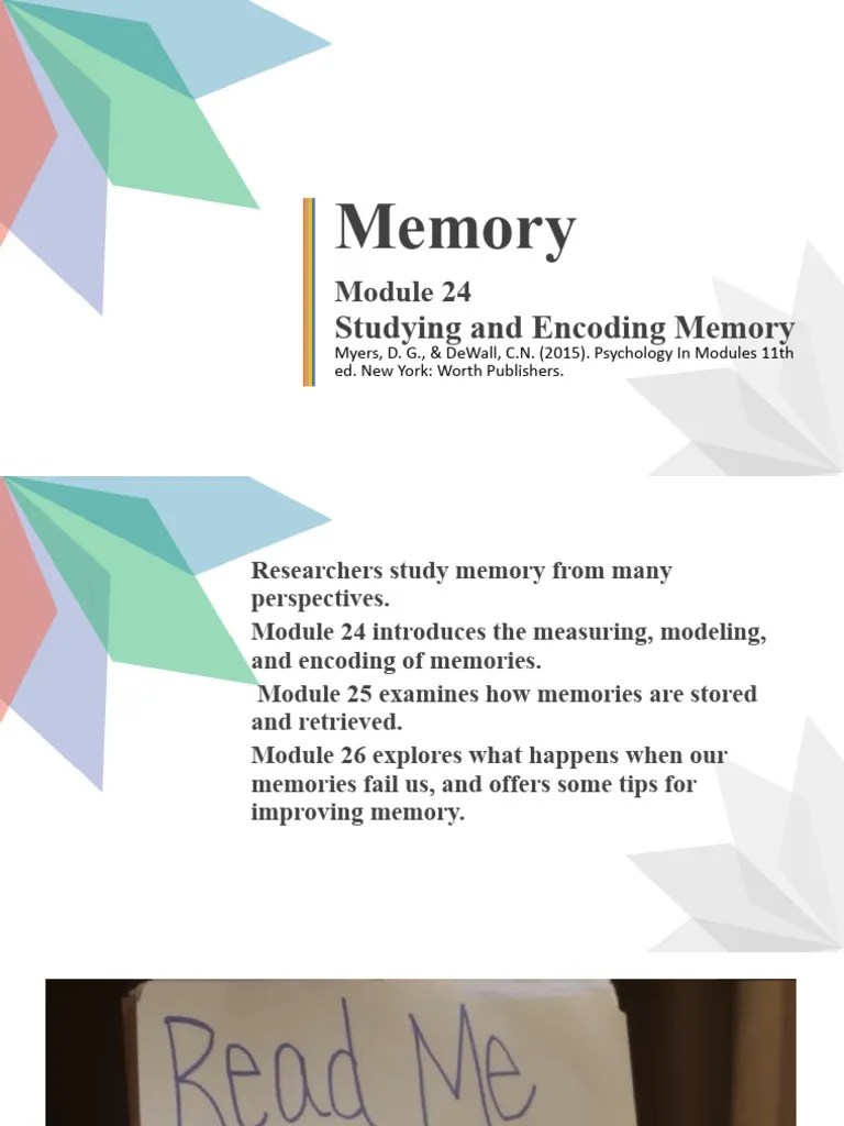 Module 24 - Studying And Encoding Memories | Download Free PDF | Memory | Working Memory