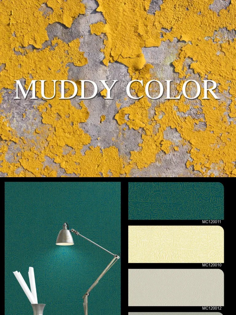 MUDDY COLOR | PDF