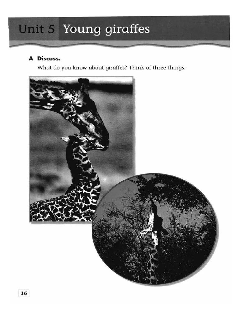 Reading Comprehension | PDF