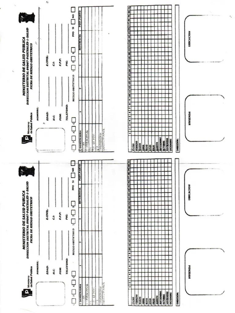 Ficha De Riesgo Obstétrico | PDF