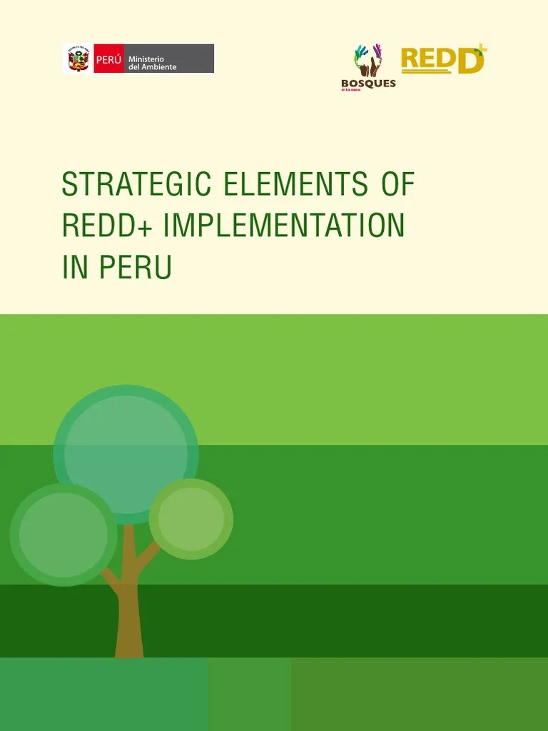Strategic Elements Of REDD+ Implementation Projects In Peru - MINAM ...