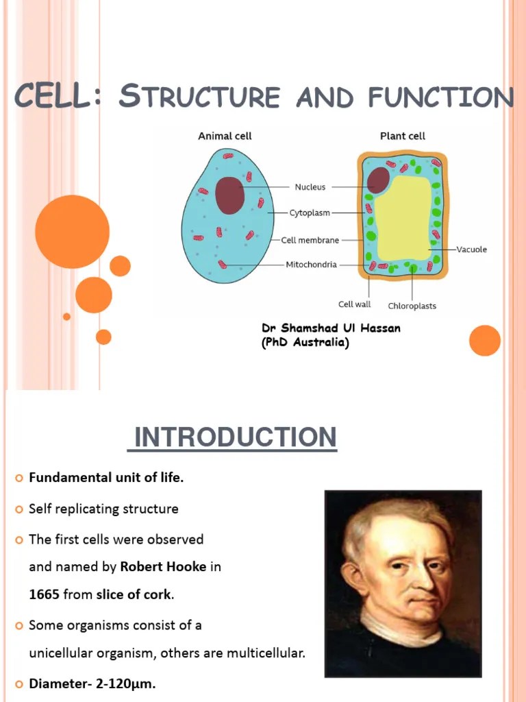 Cell Structure And Function | PDF | Cell Nucleus | Cytoplasm
