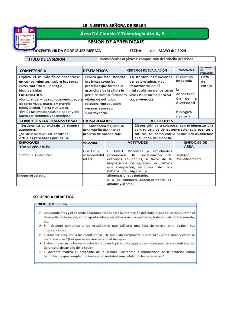 Proteinas Sesion De Aprendizaje | PDF | Evaluación | Aprendizaje
