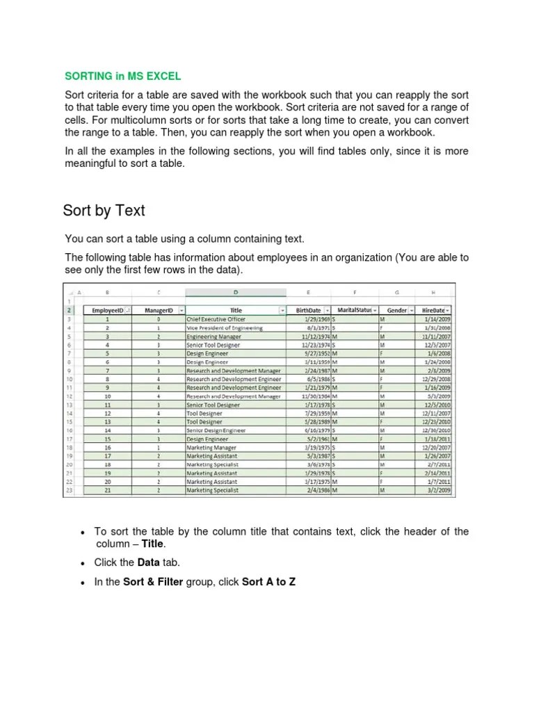 Module 6 Sorting In Ms Excel | PDF | Microsoft Excel | Software