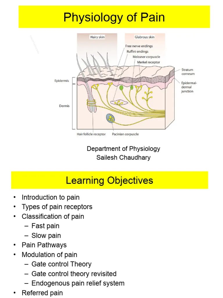 Pain | PDF | Pain | Stimulus (Physiology)