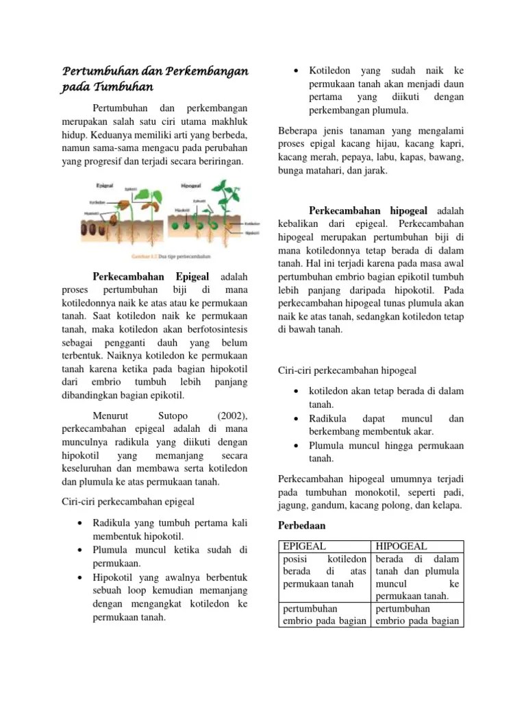 Materi Pertumbuhan Dan Perkembangan Pada Tumbuhan | PDF
