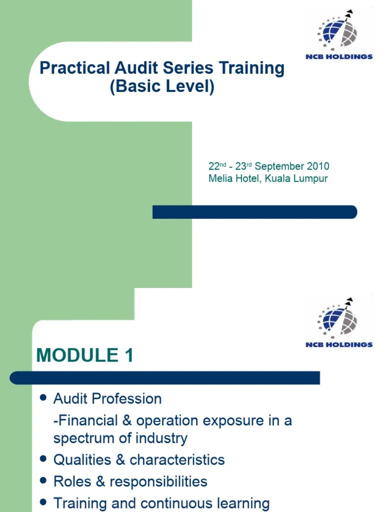 Practical Audit Series Training | PDF