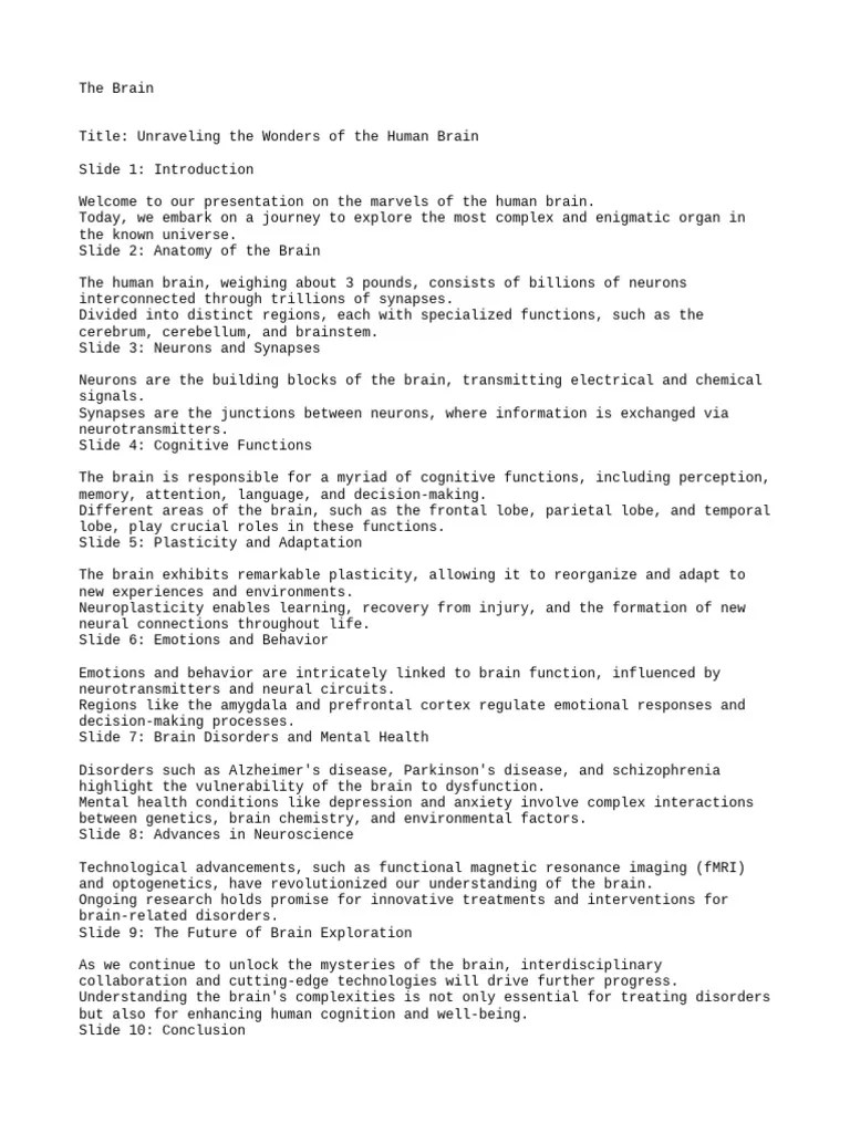 The Brain | PDF | Brain | Human Brain