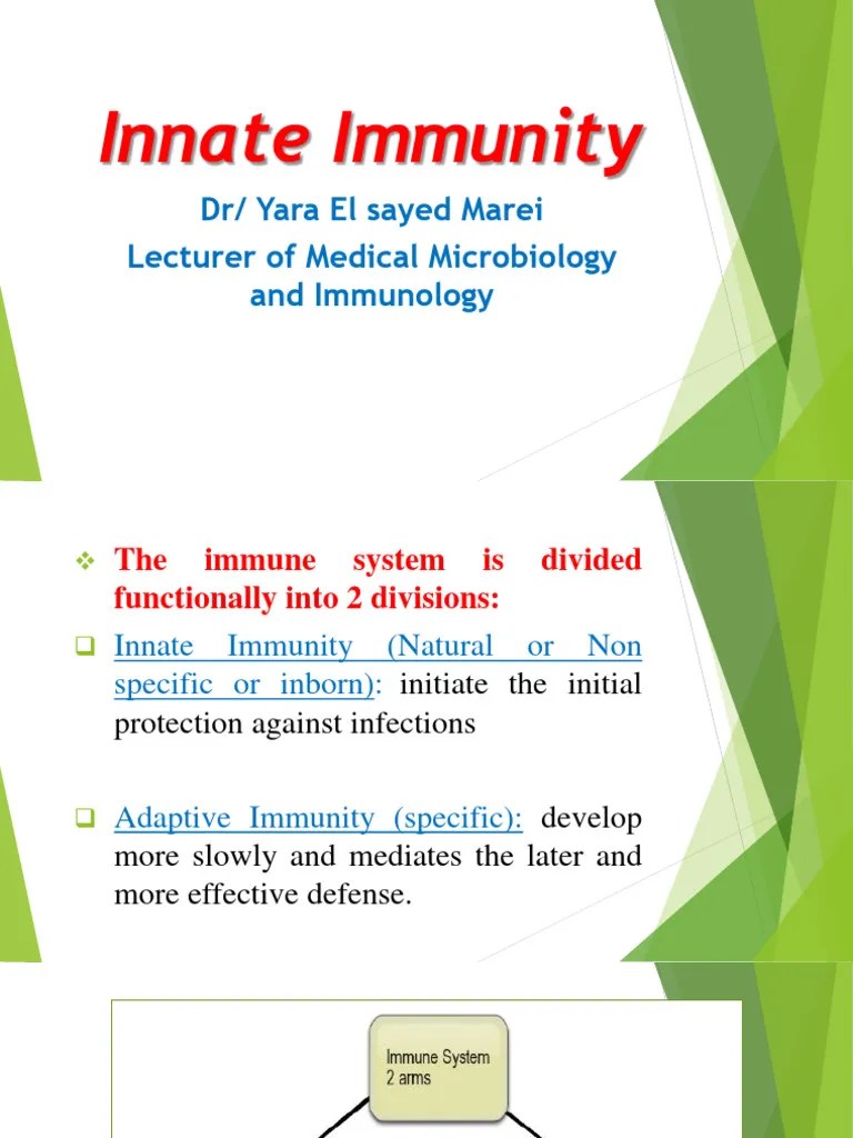 Innate Immunity | PDF | Immune System | Innate Immune System