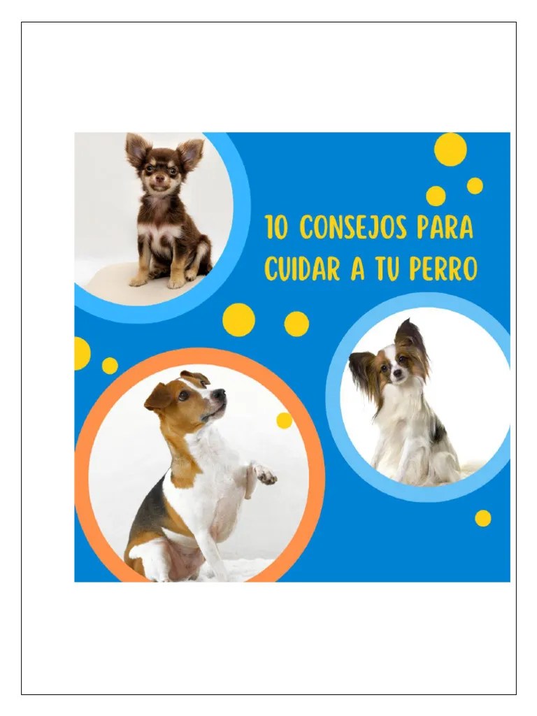 Tips B Sicos Para El Cuidado De Tu Perro Emoticanimal - Geometric Art Collection - Ultra HD Quality