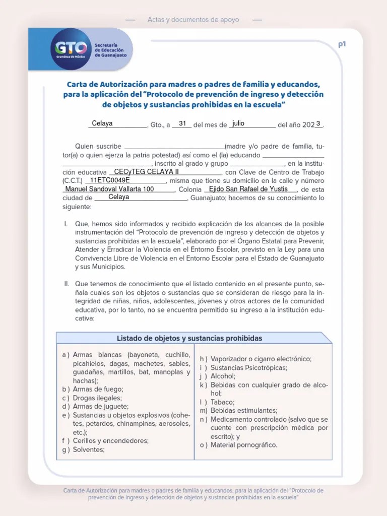 Protocolo Prevencion Deteccion | PDF