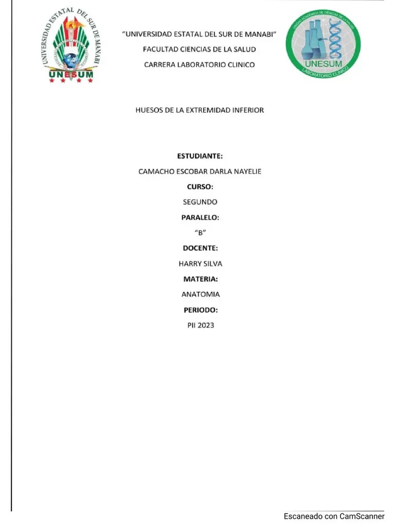 Huesos De La Extremidad Inferior | PDF