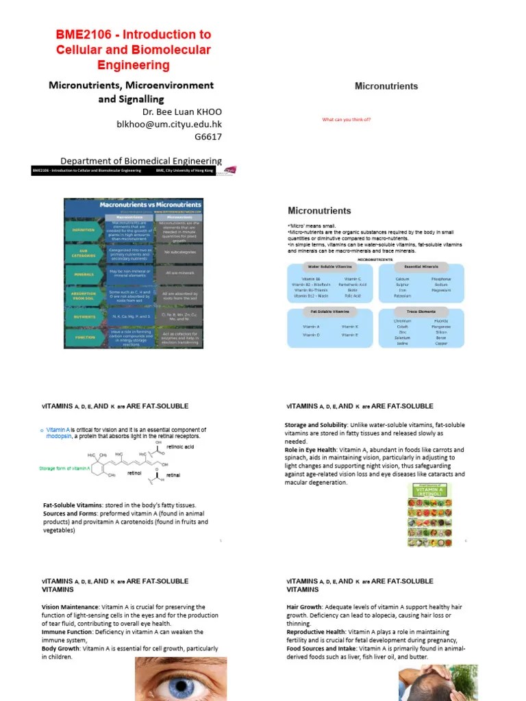 Lecture 5 | PDF | Cell Signaling | Signal Transduction