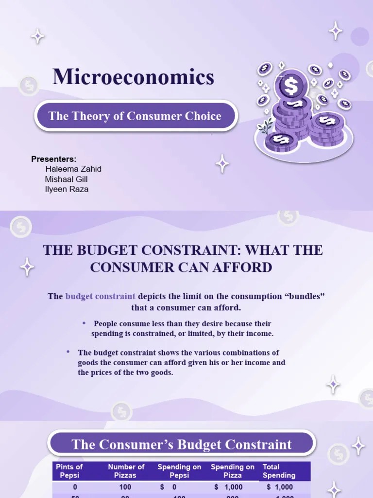 Microeconomics (The Theory Of Consumer Behaviour | PDF | Demand ...