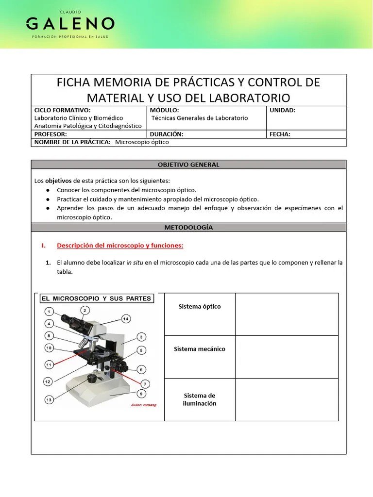 UD8 Práctica 1 TGL - Microscopio Óptico | Descargar Gratis PDF ...