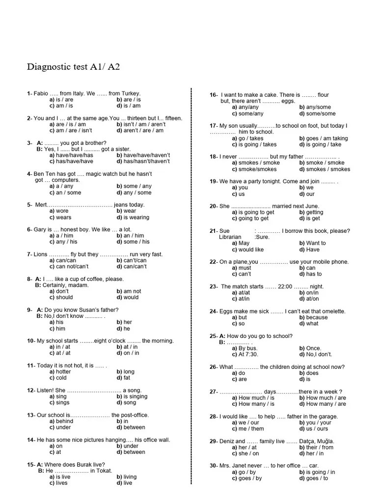 Diagnostic Test | PDF