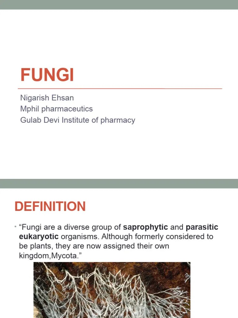 Fungi | PDF | Fungus | Spore