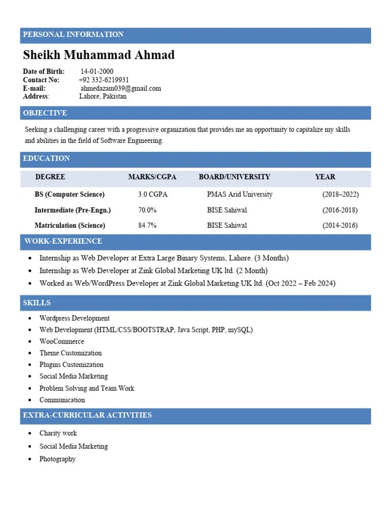 Sheikh M. Ahmad - Web Developer | PDF
