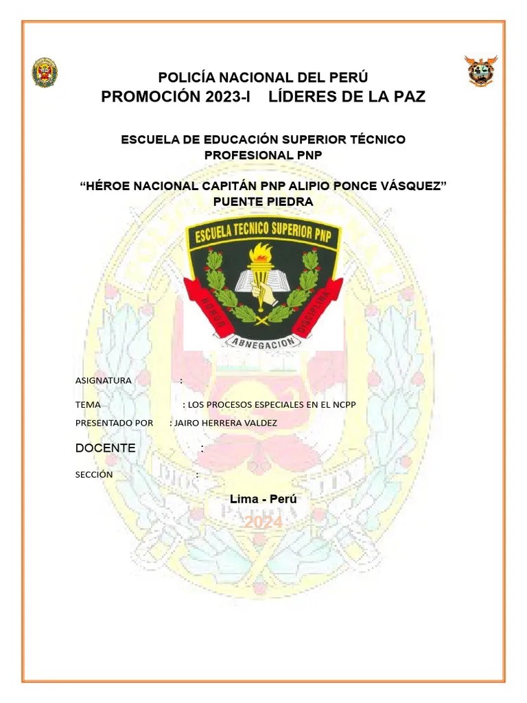 Los Procesos Especiales En El Ncpp | PDF | Debido Al Proceso | Ley Procesal