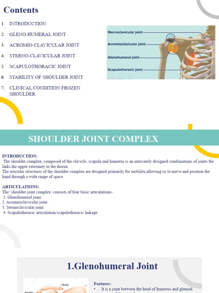 Shoulder Joint | PDF | Shoulder | Musculoskeletal System