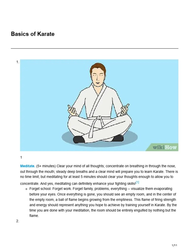 How To Teach Yourself The Basics Of Karate | PDF