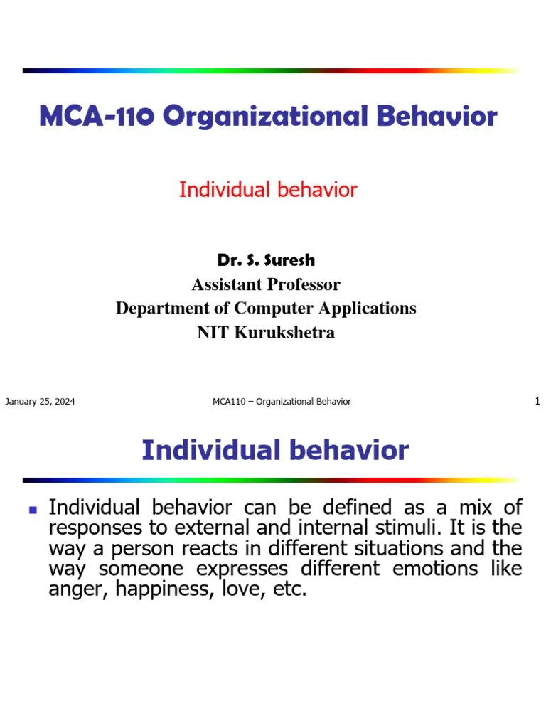 02 Individual Behaviour | PDF | Reinforcement | Organizational Culture