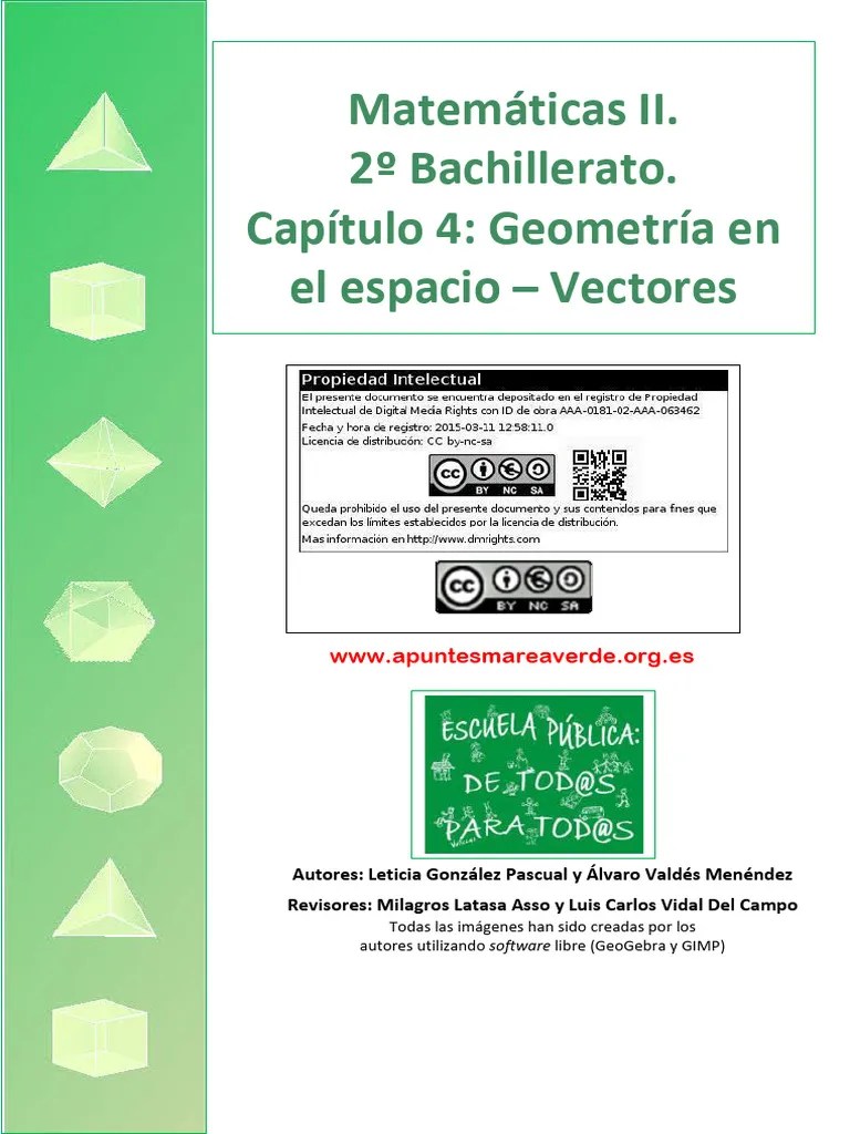 BC2 04 Vectores | PDF | Vector Euclidiano | Espacio Vectorial