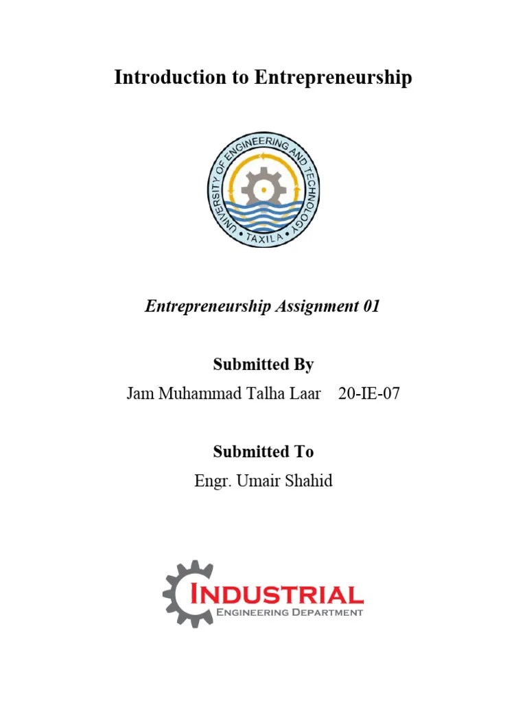 Entrepreneurship Assignment 1 20-IE-07 | PDF | Entrepreneurship | Innovation