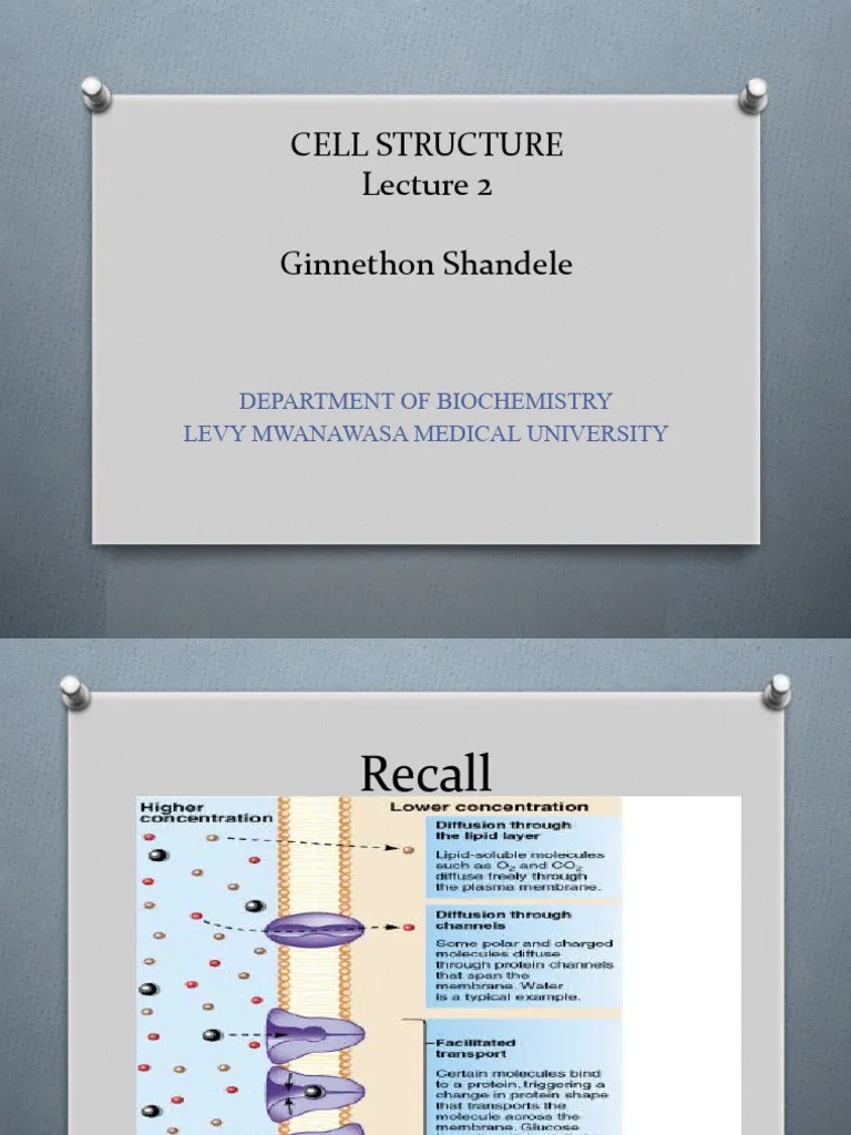 CELL STRUCTURE Lecture 2 | PDF
