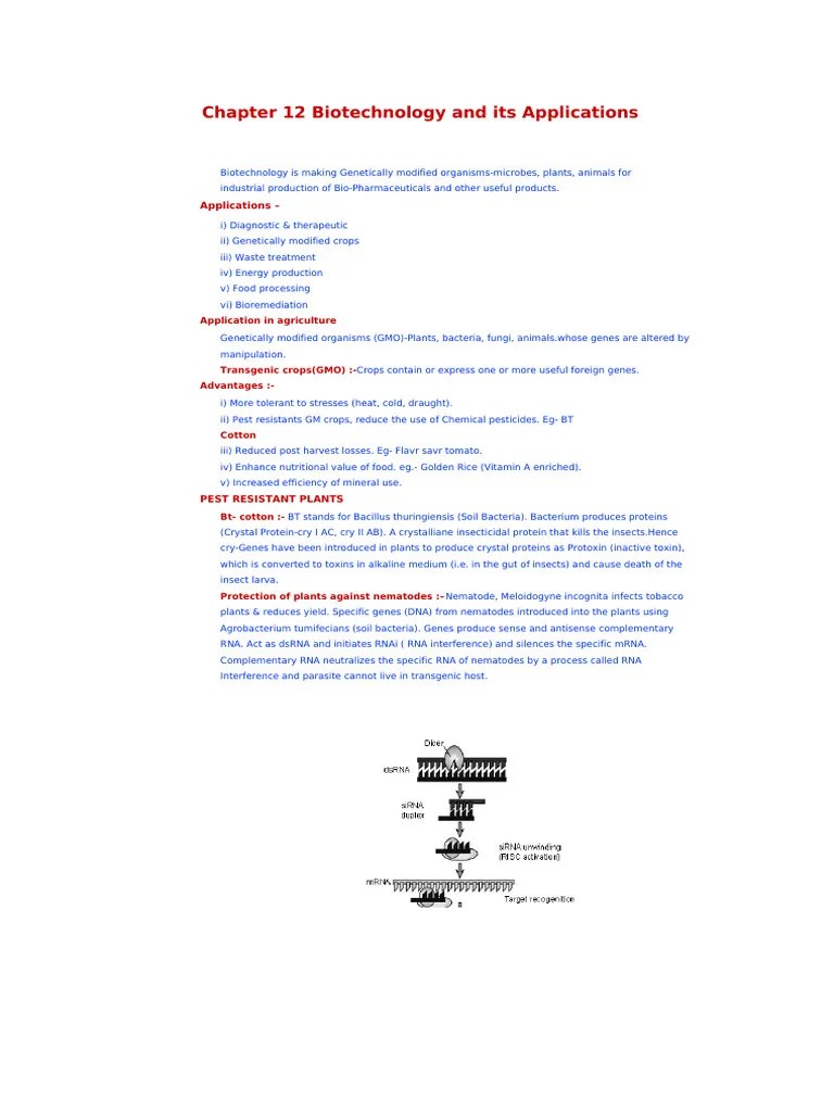 Biotechnology Class 12 Notes PDF | PDF | Genetically Modified Organism ...