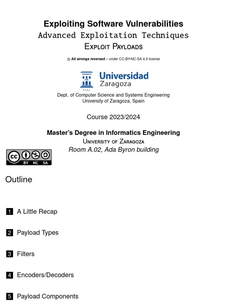 05 Exploit Payloads | PDF | Computing | Computer Architecture