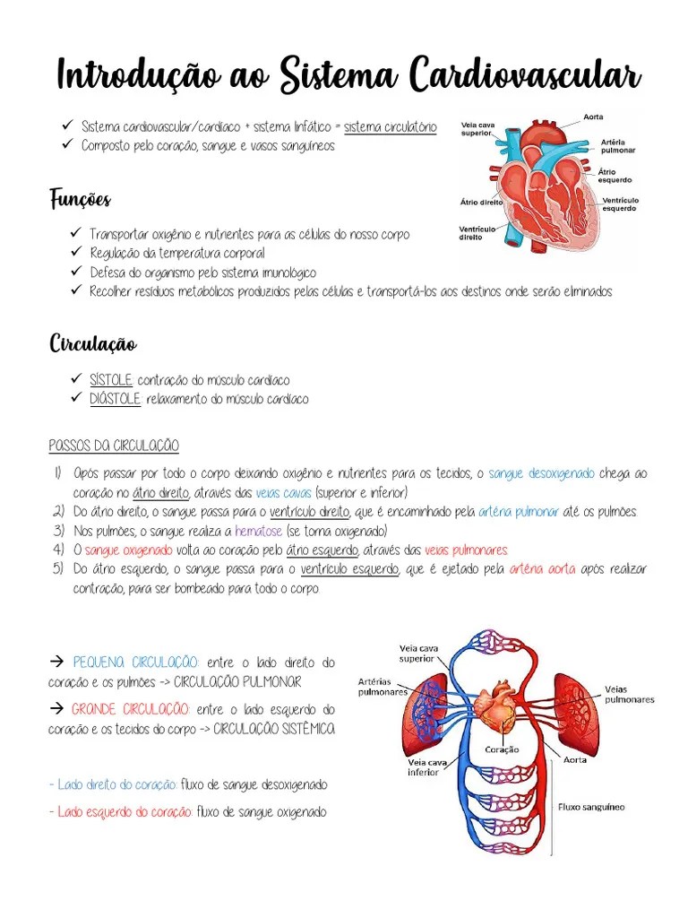 2- Introdução Ao Sistema Cardiovascular | Download Grátis PDF | Sistema Circulatório | Coração