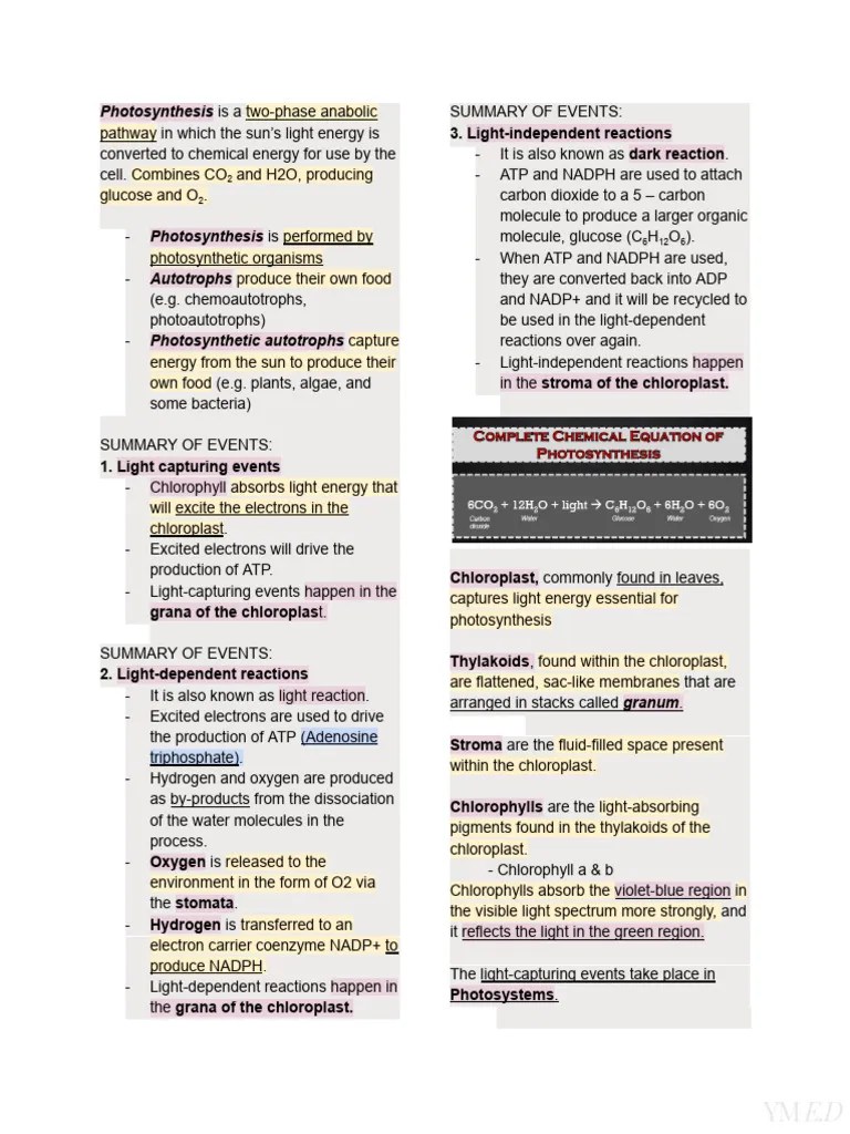 General Biology Reviewer For The Whole Quarter 2 | PDF | Cellular Respiration | Adenosine ...