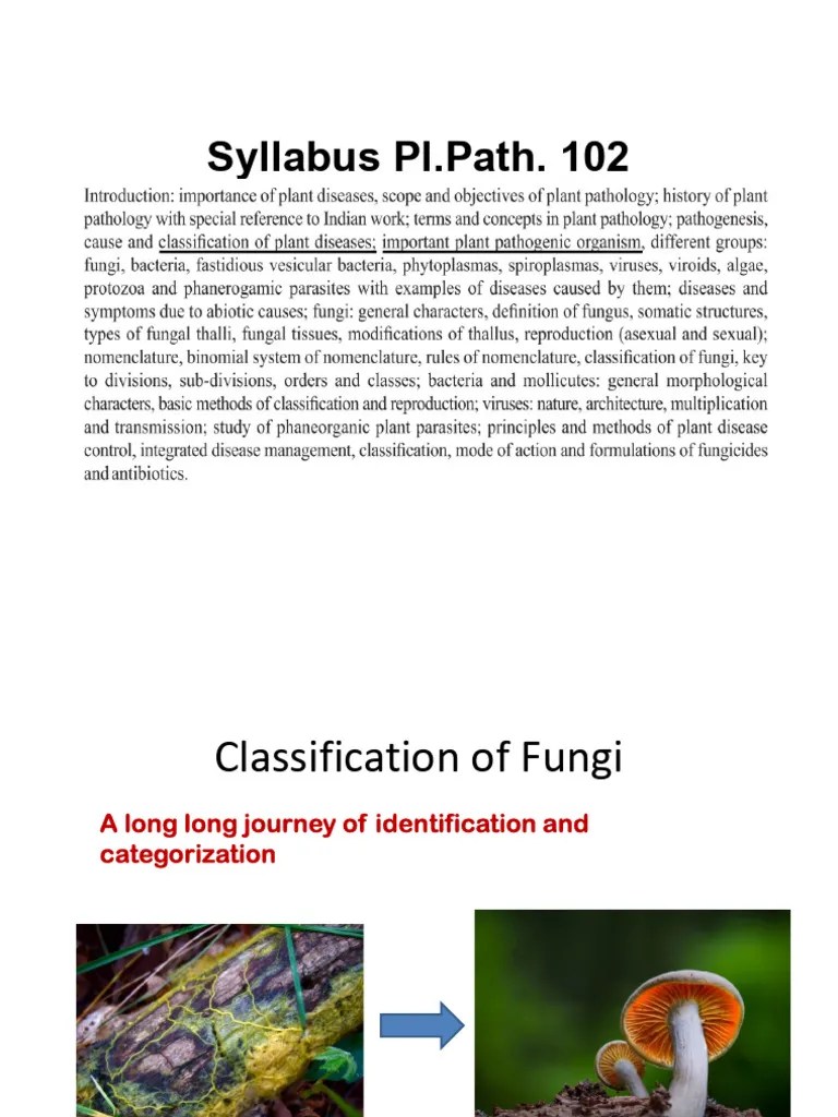 Fungal Taxonomic Classifications | PDF | Sexual Reproduction | Fungus