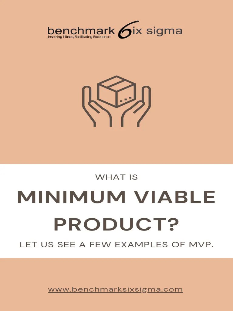 Minimum Viable Product | PDF | Business | Finance & Money Management
