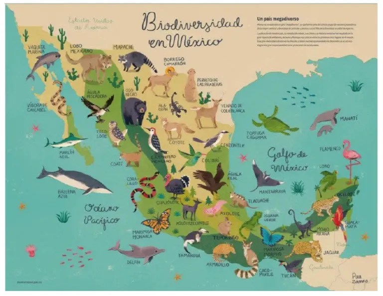 BIODIVERSIDAD EN MEXICO- | PDF